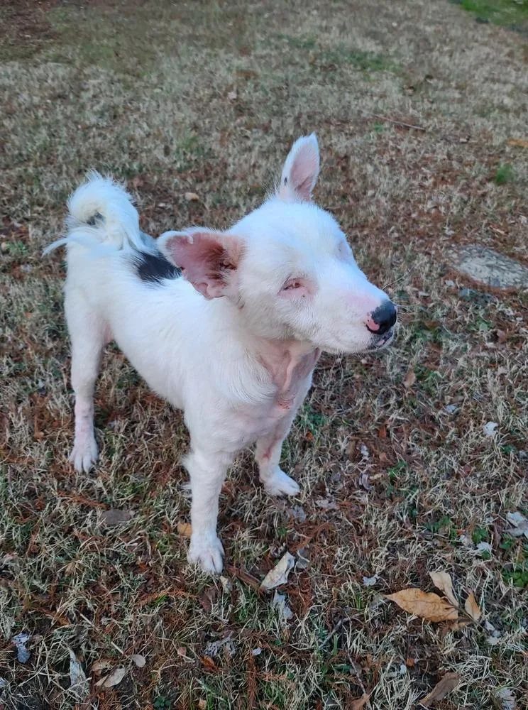 Brayleigh thumbnail 3