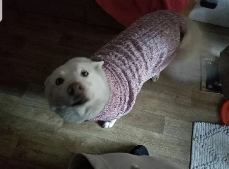 Annabelle thumbnail 2