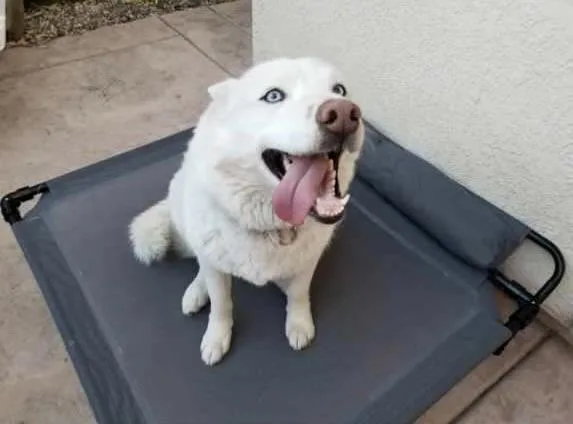 Annabelle thumbnail 3