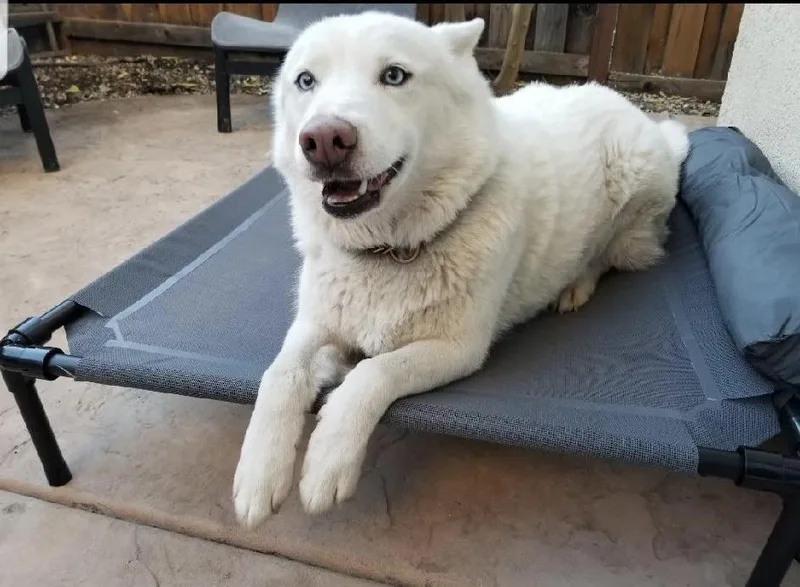 Annabelle thumbnail 4