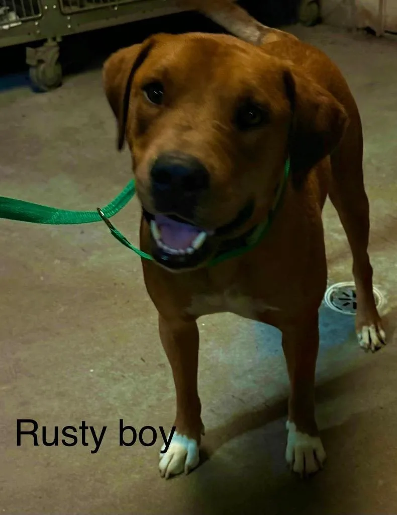 Rusty Boy Fraley