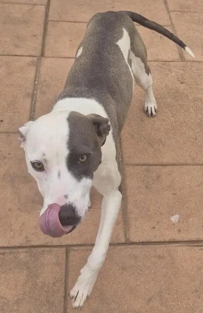 Coco