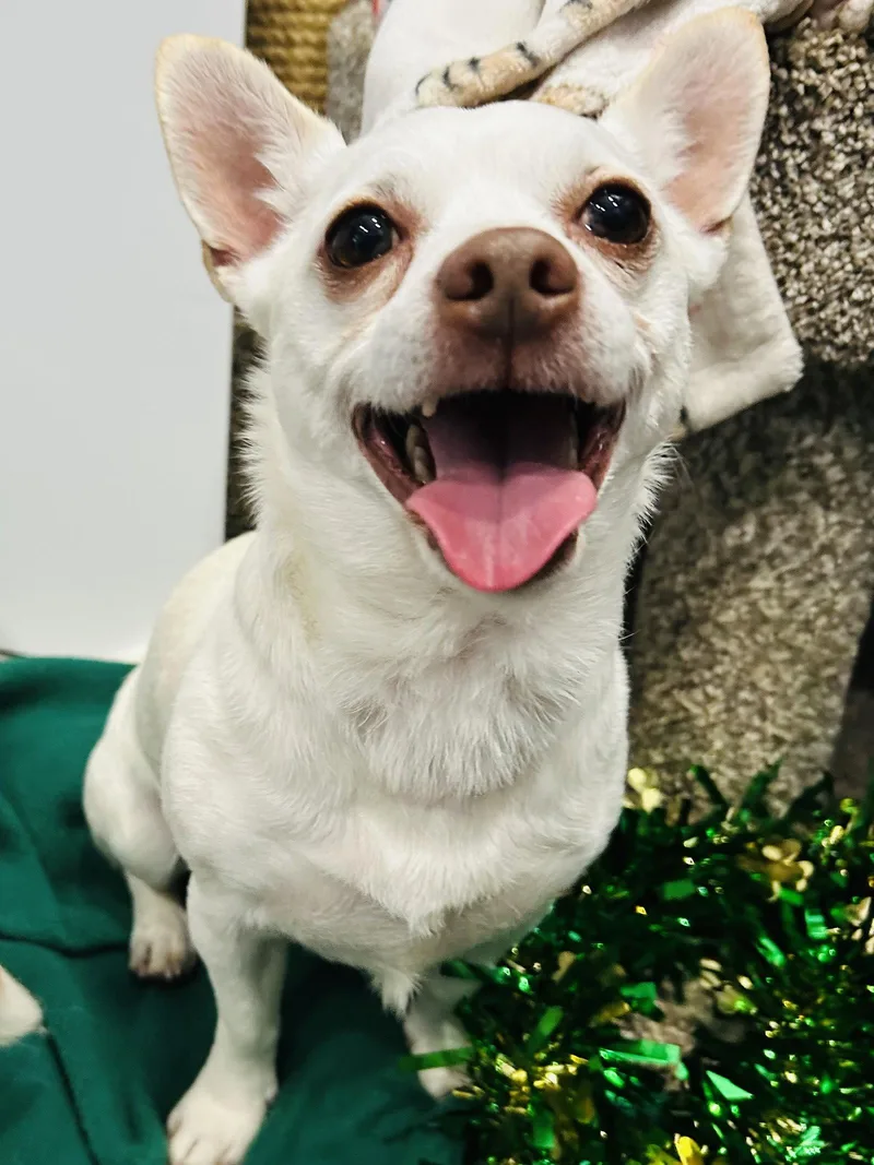 Casper And Tubbz thumbnail 2