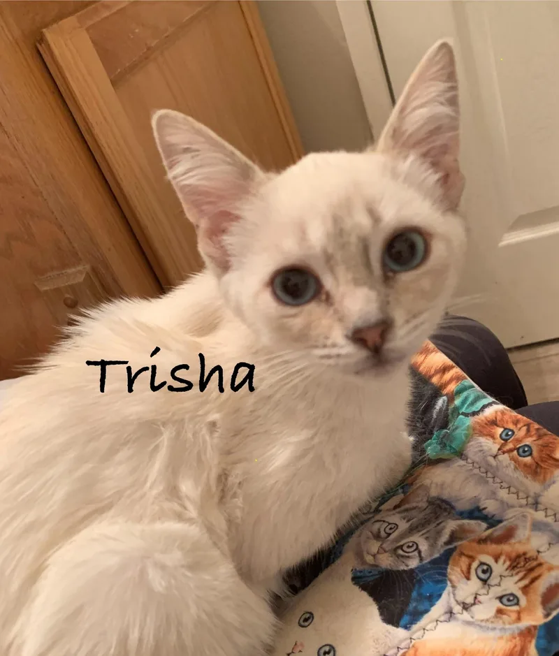 Trisha thumbnail 4