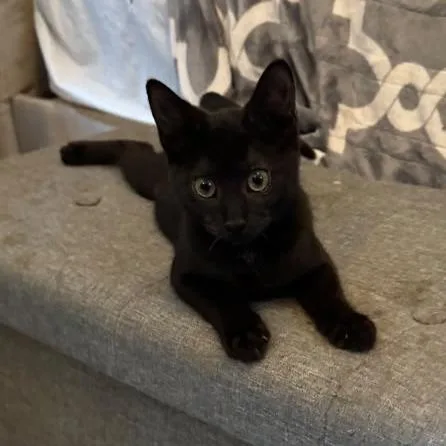 Stormi