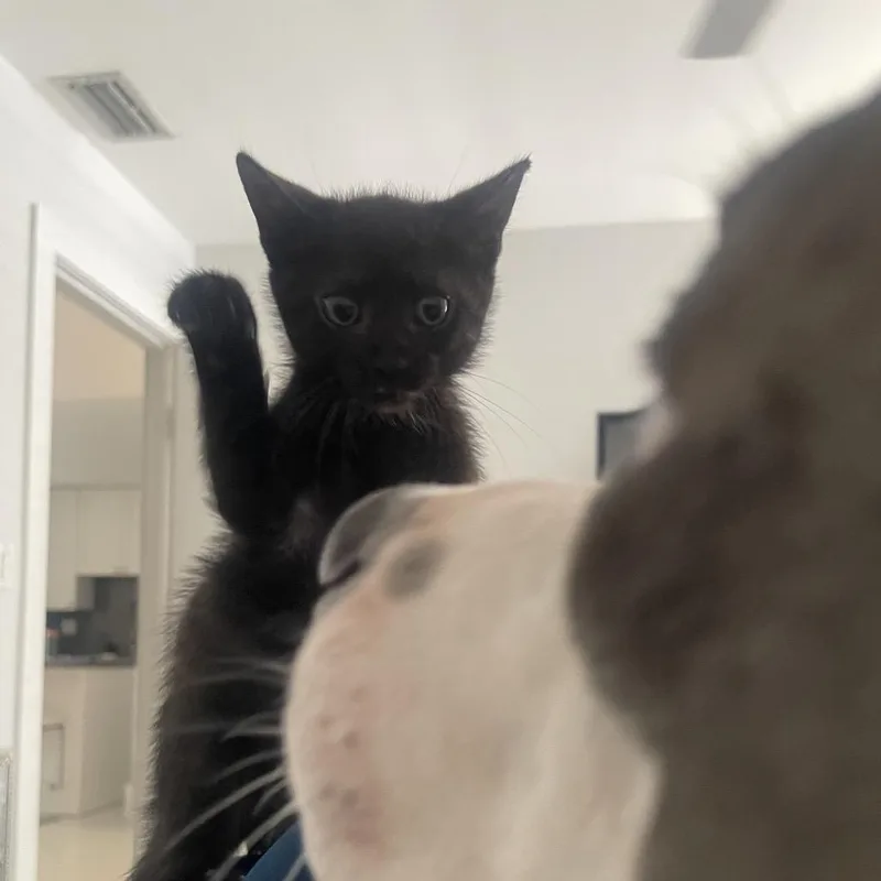 Stormi thumbnail 3