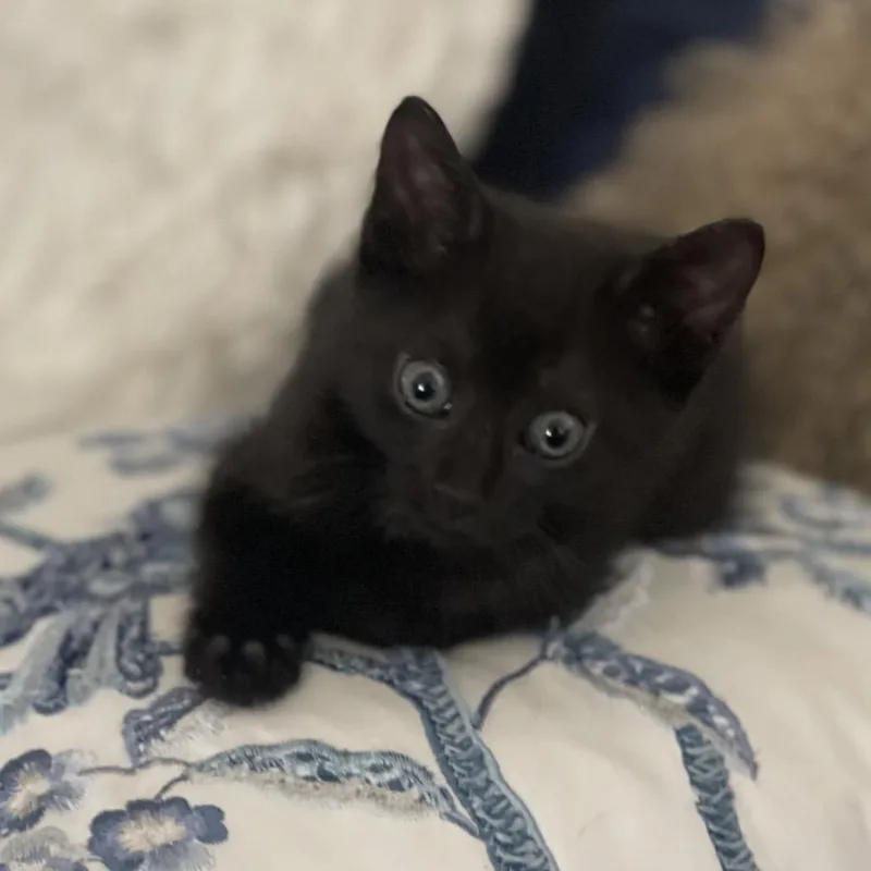 Stormi thumbnail 5