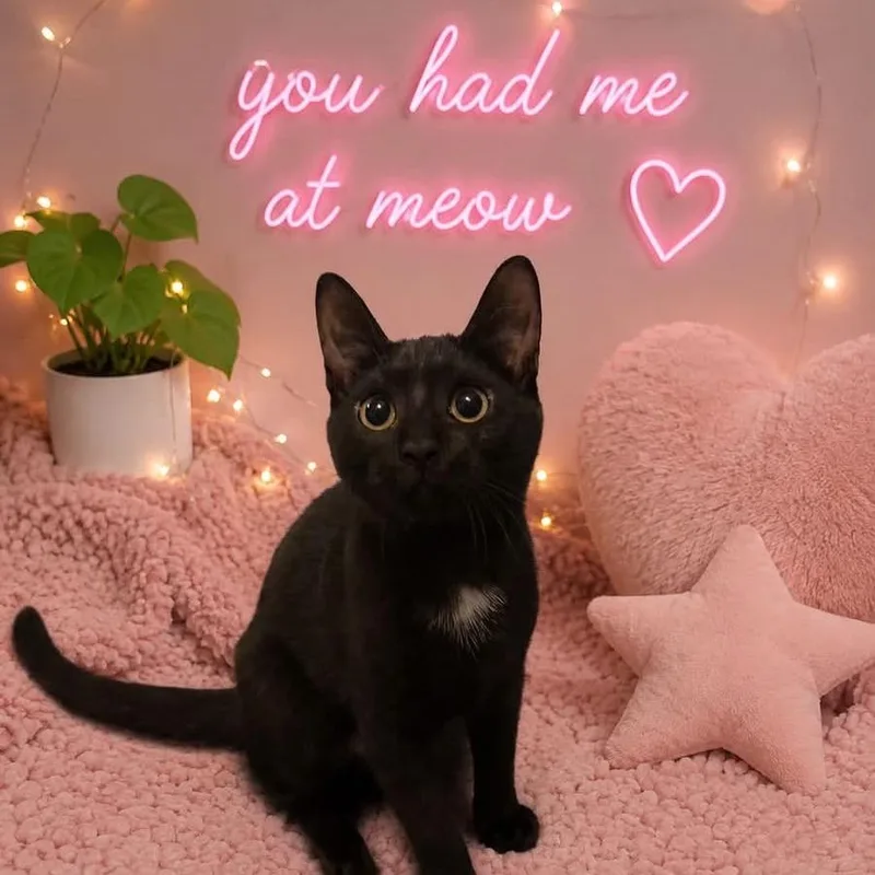Stormi thumbnail 6