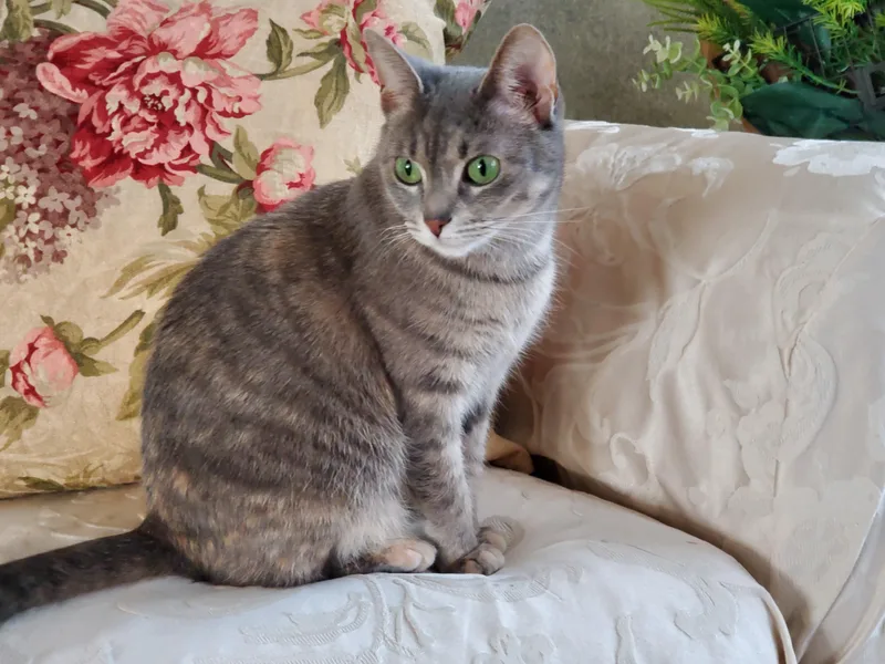 Charlene thumbnail 6