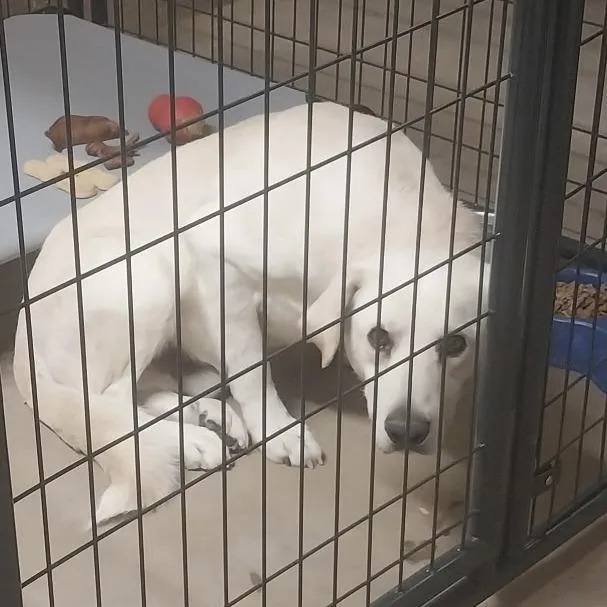 Maverick thumbnail 2