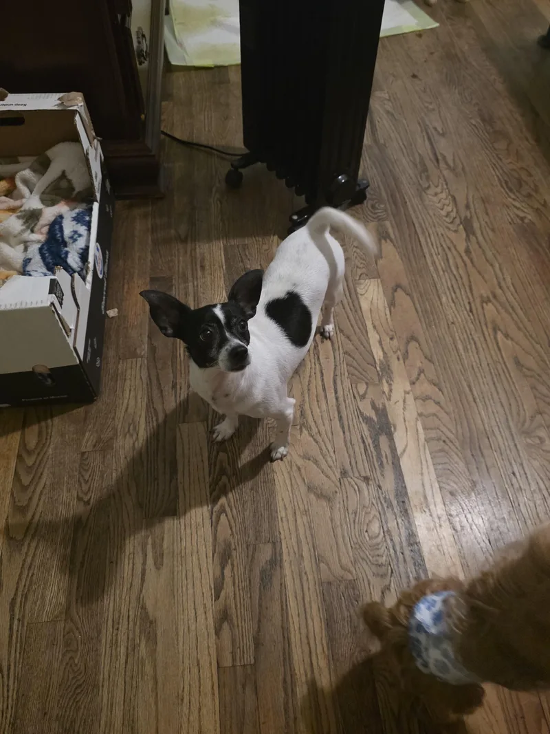 Momma girl thumbnail 5