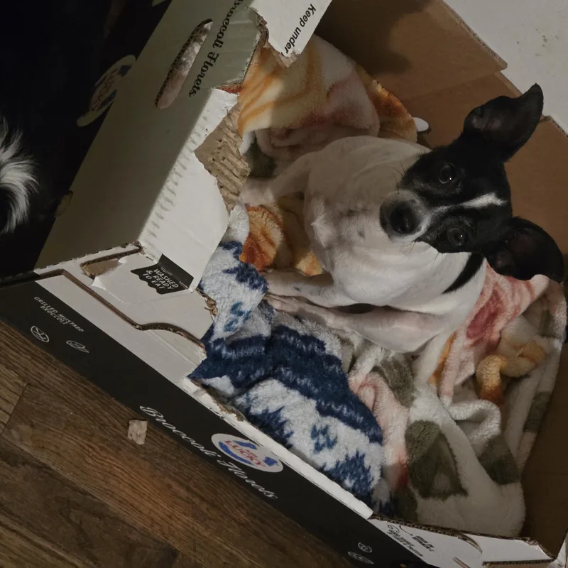 Momma girl thumbnail 6