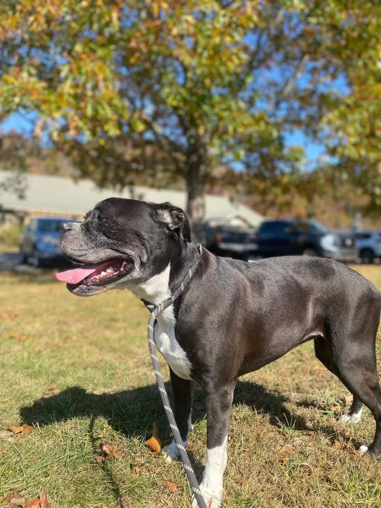 Pepper thumbnail 3