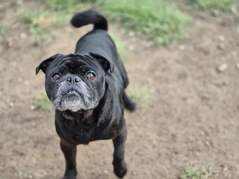 Mochi thumbnail 2