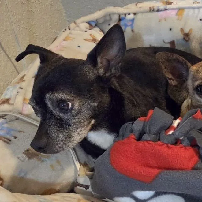 Sparklyn thumbnail 2