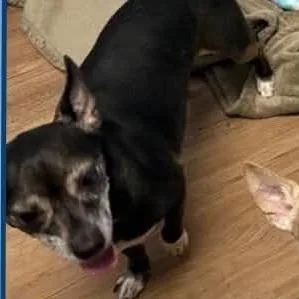 Sparklyn thumbnail 3