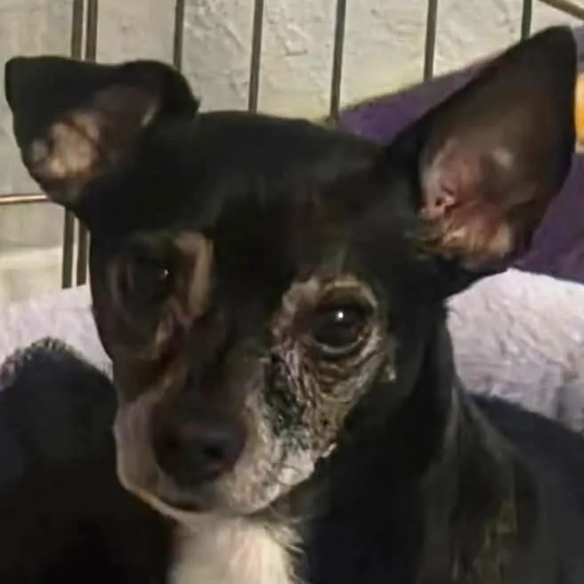 Sparklyn thumbnail 4