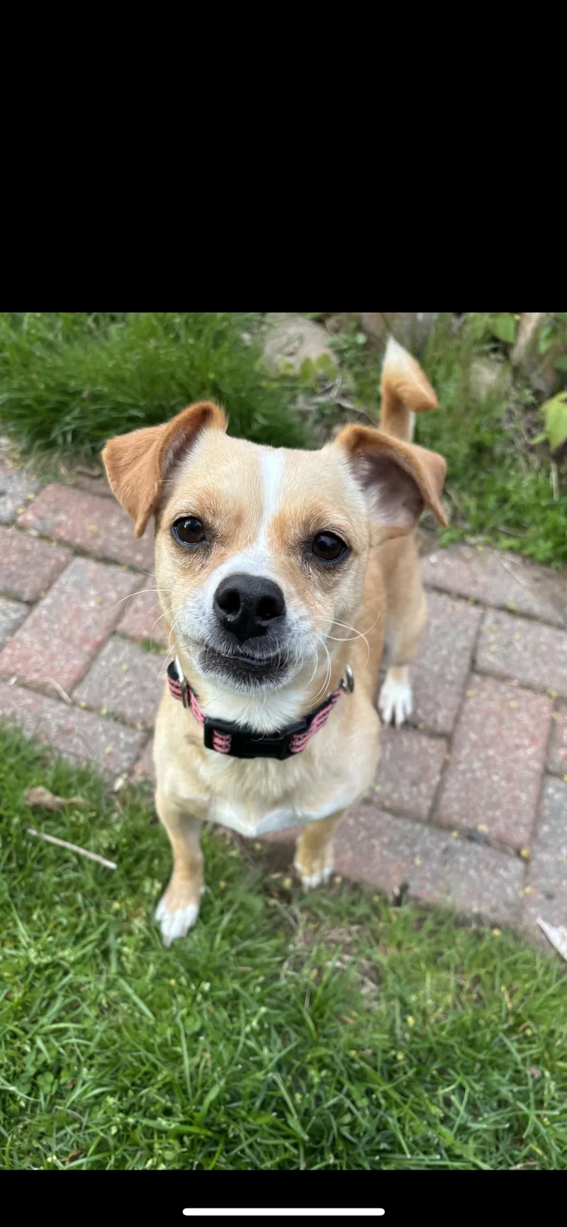 Jilly Aka Tina thumbnail 5