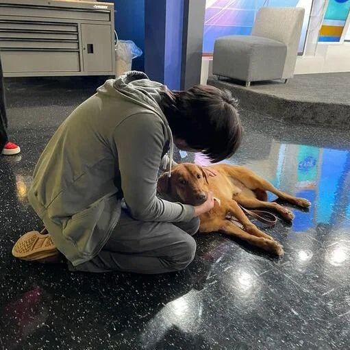 Liam Lionheart thumbnail 2