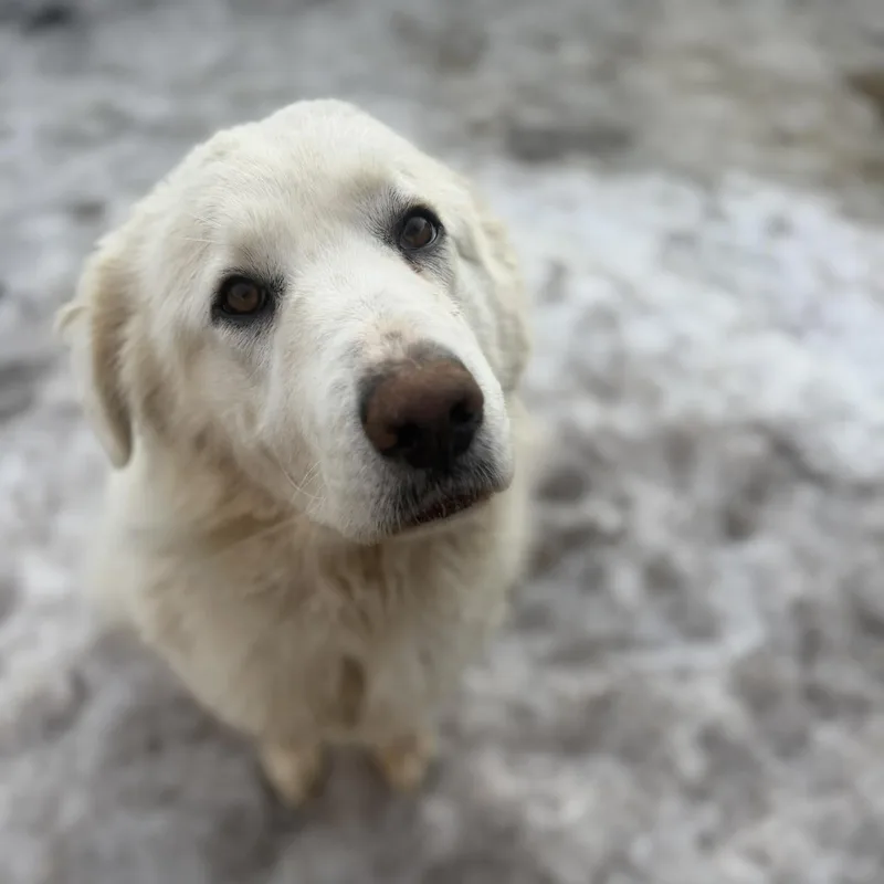 Girlfriend thumbnail 2