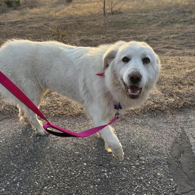 Girlfriend thumbnail 3