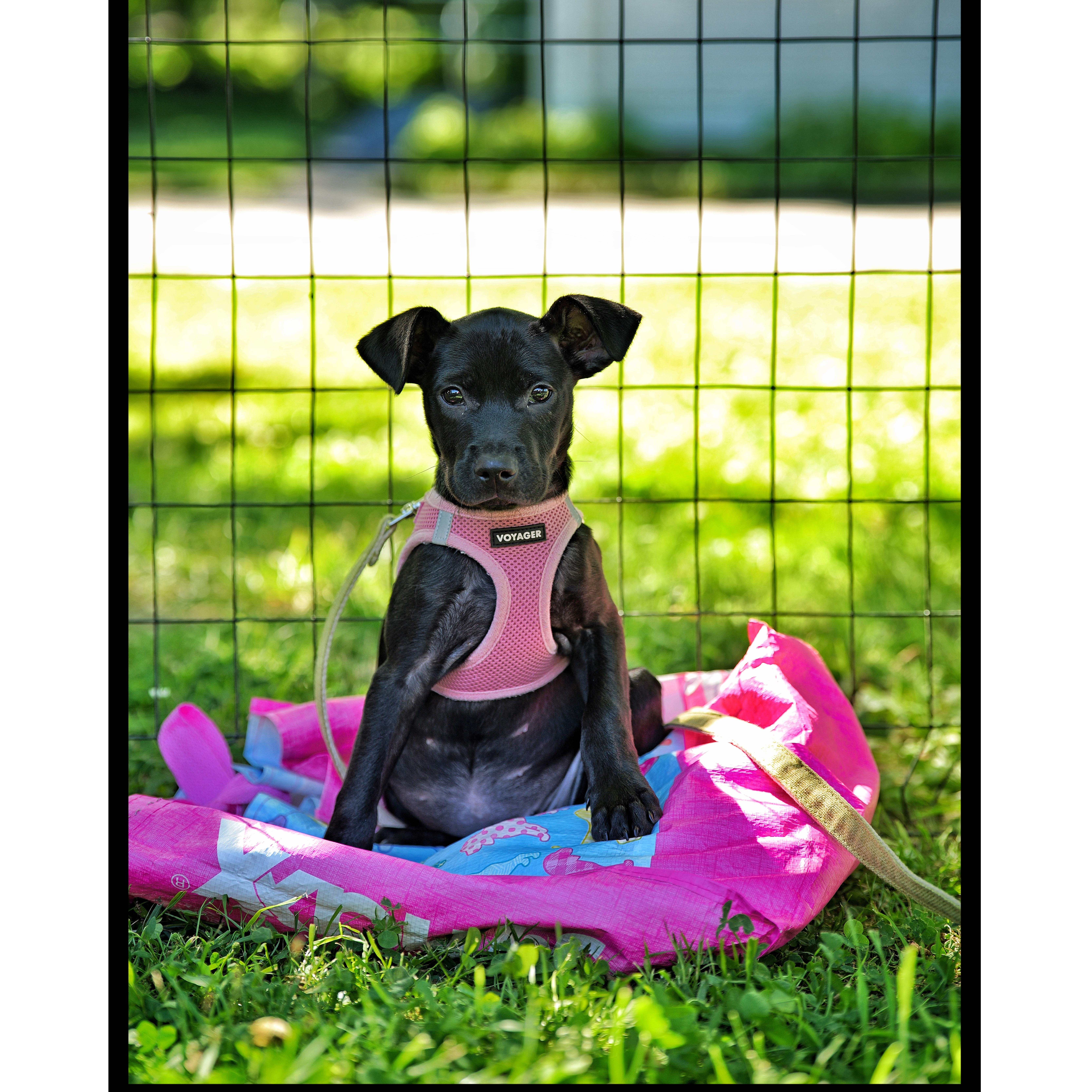 Frida thumbnail 3