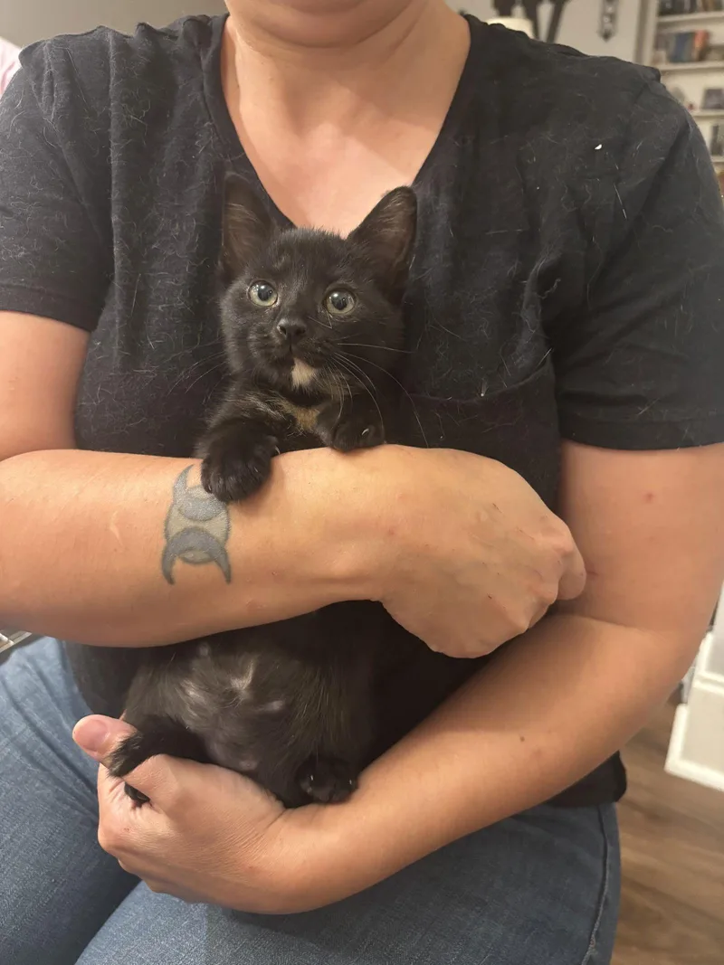 Supurrvisor thumbnail 2