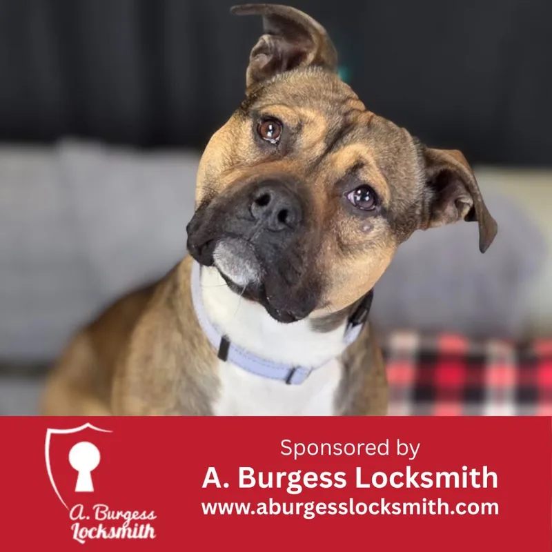 Boo Bear thumbnail 5