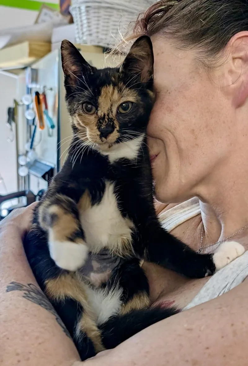 Cali