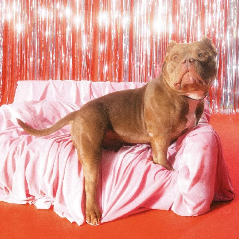 Big Mack thumbnail 6