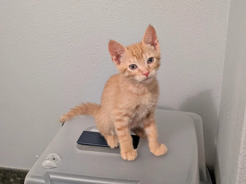 Sol And Hizashi thumbnail 2