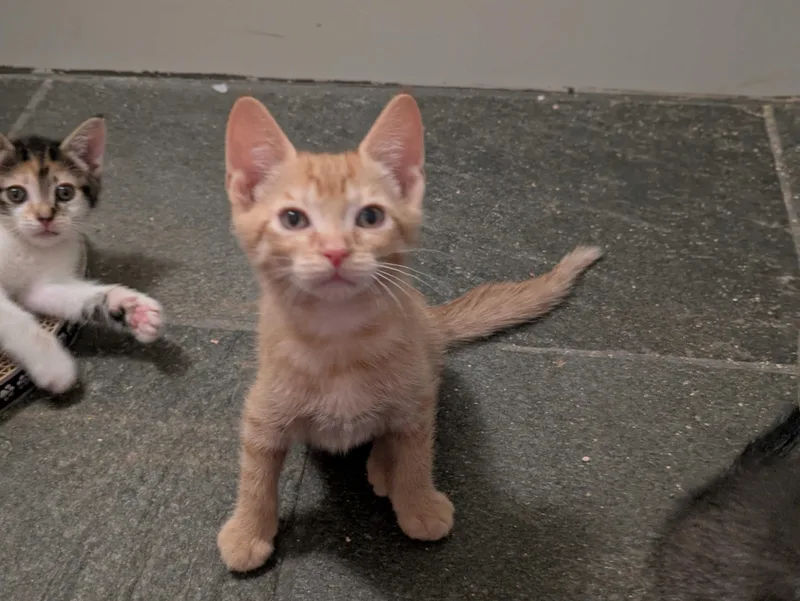 Sol And Hizashi thumbnail 3