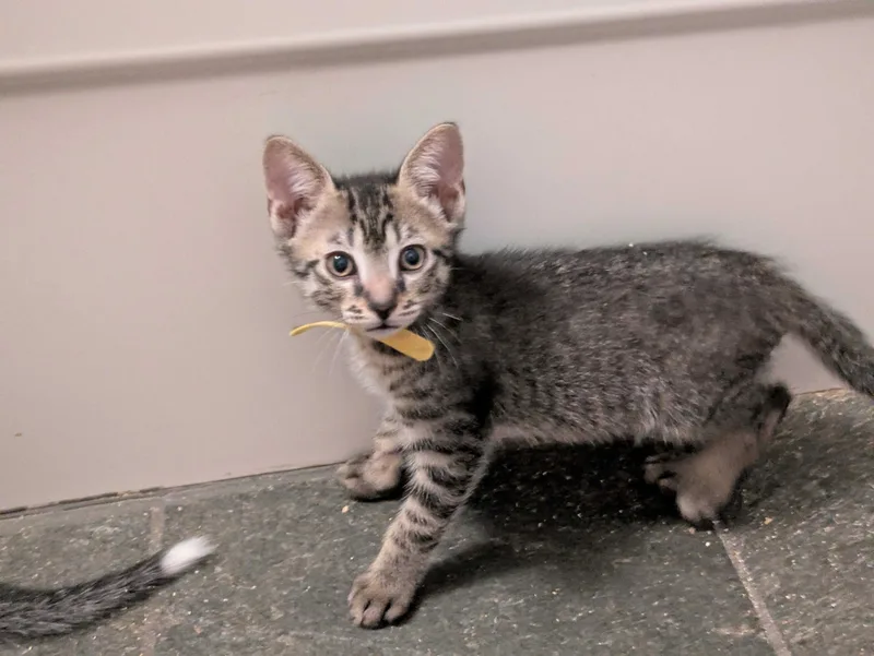 Sol And Hizashi thumbnail 4