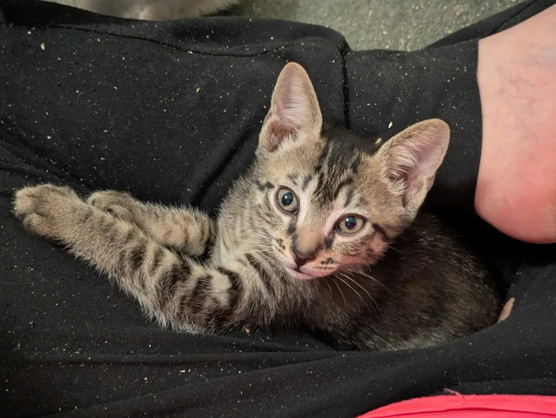 Sol And Hizashi thumbnail 6