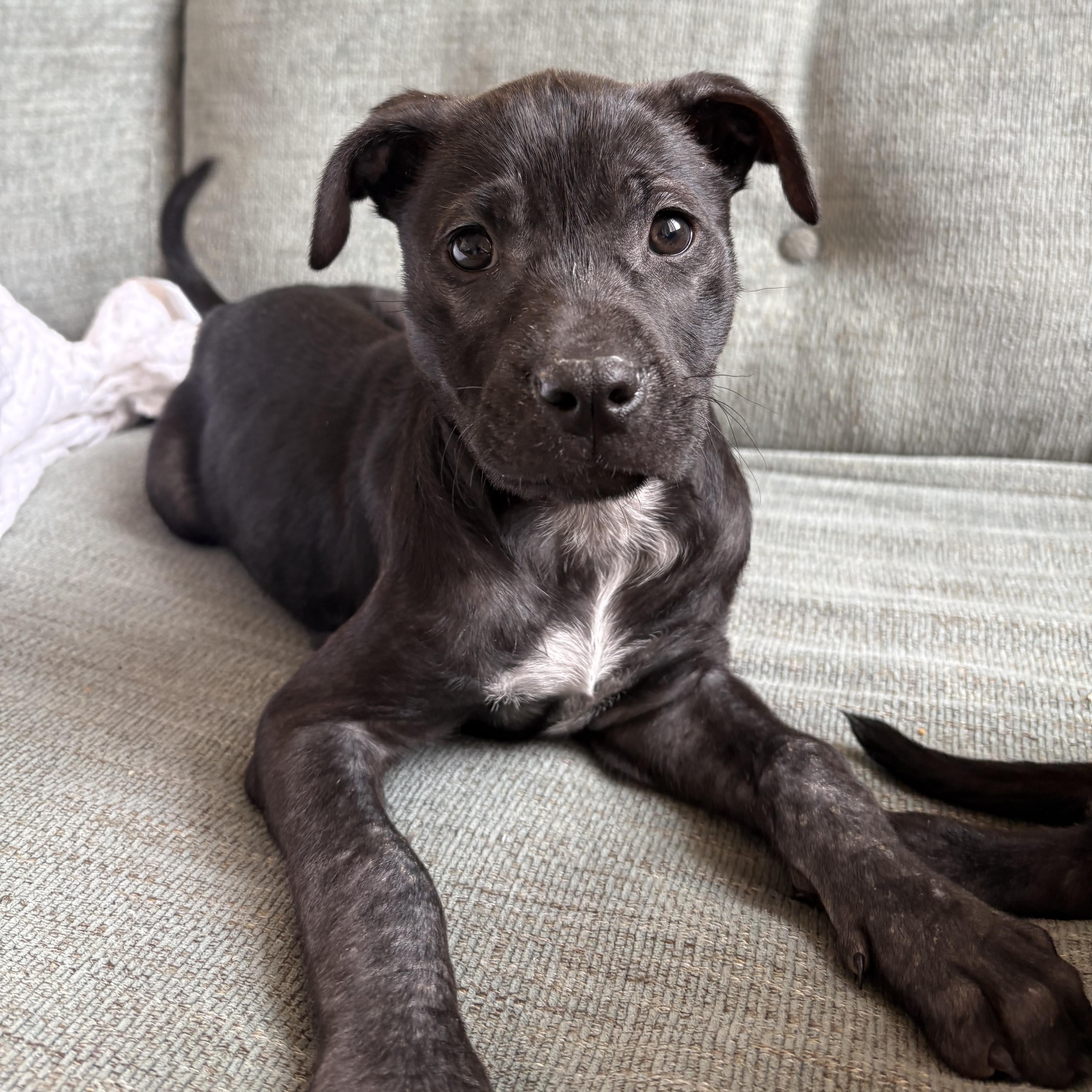 Multiplication thumbnail 2