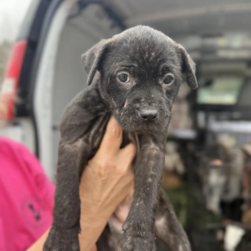 Multiplication thumbnail 3