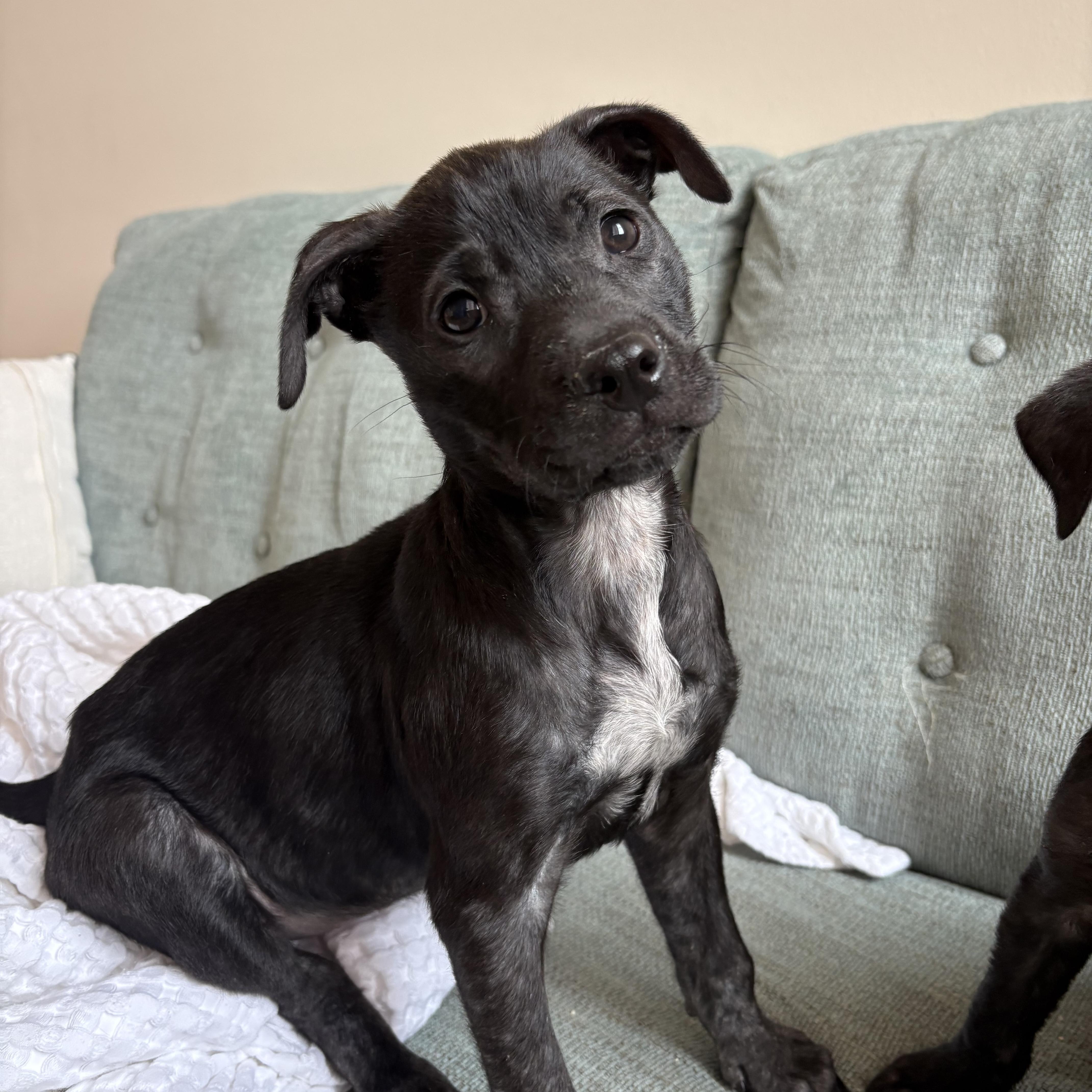 Multiplication thumbnail 4