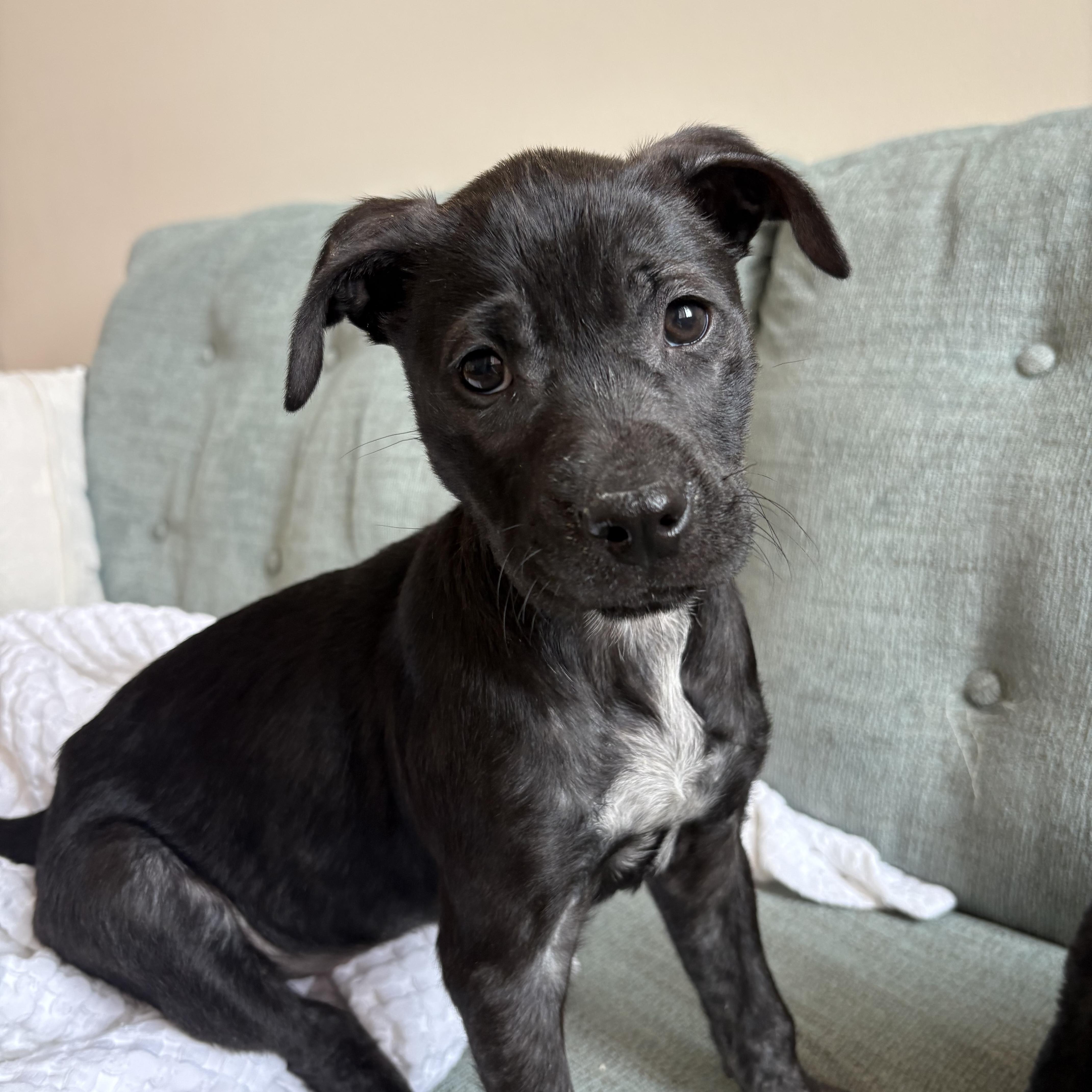 Multiplication thumbnail 5