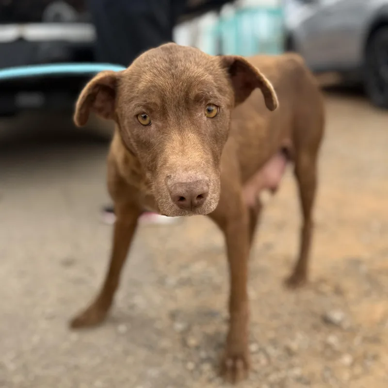 Multiplication thumbnail 6