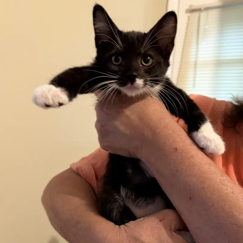 Ginny thumbnail 2