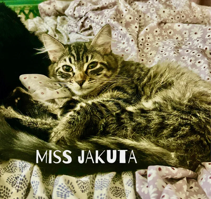 Darby And Jakuta thumbnail 4