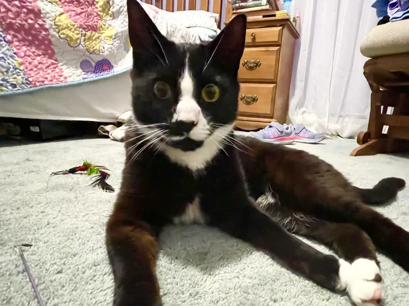 Servatus ~ “sevvy” thumbnail 3