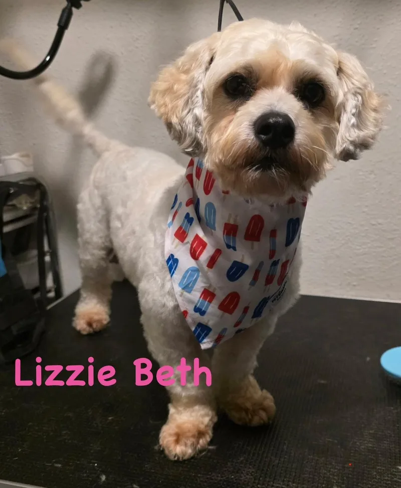 Lizzie Beth thumbnail 2