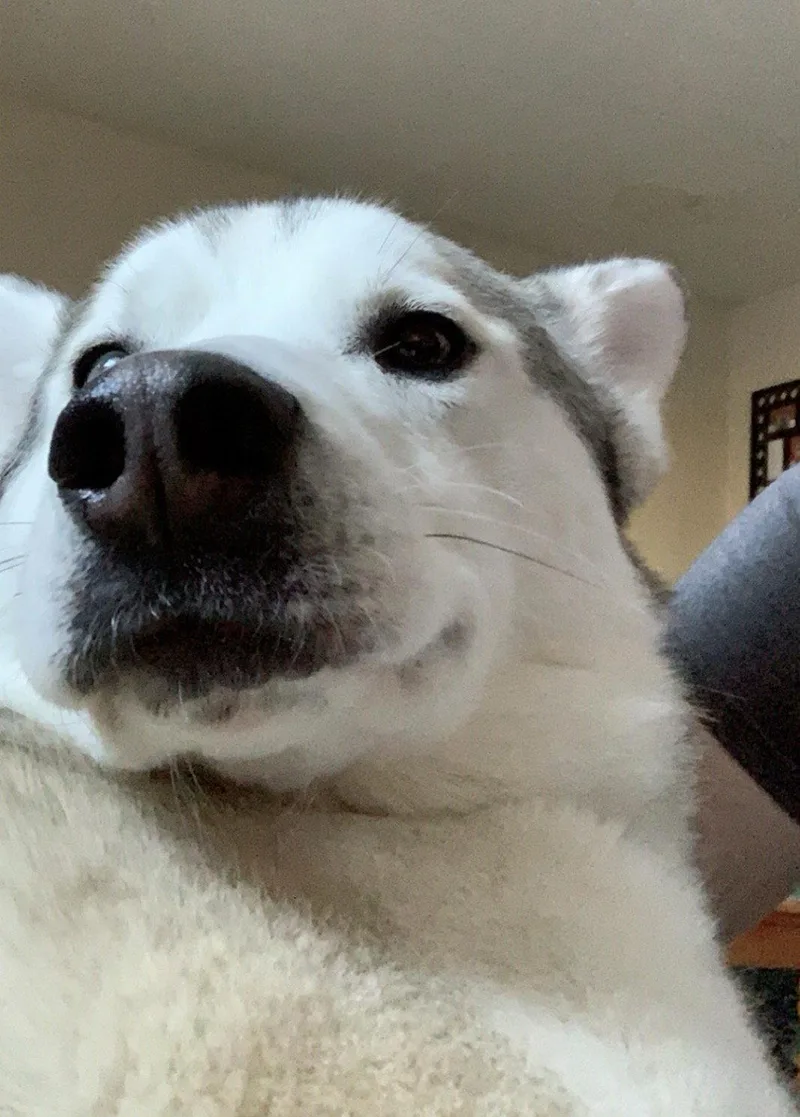 Jack