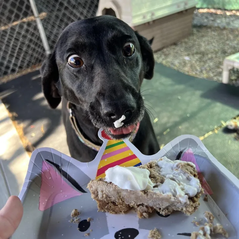 Polly Pocket thumbnail 2