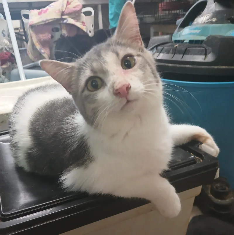 Lakeside Morning thumbnail 2