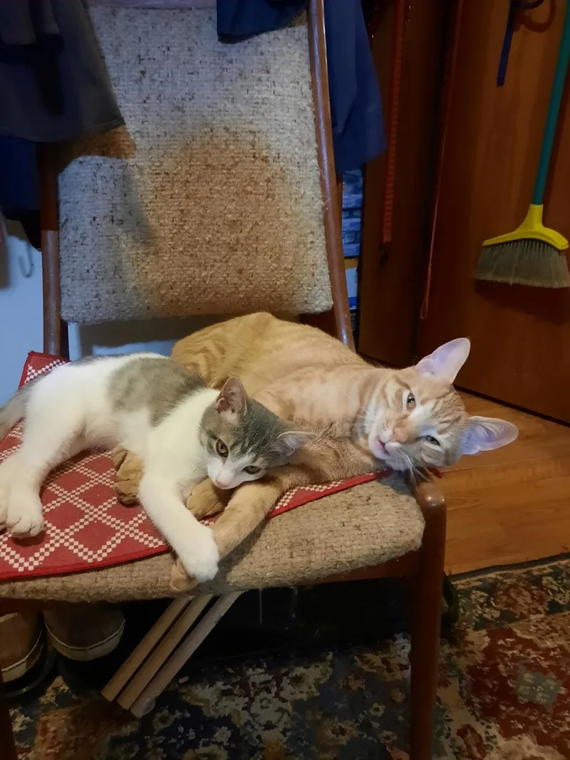 Lakeside Morning thumbnail 4