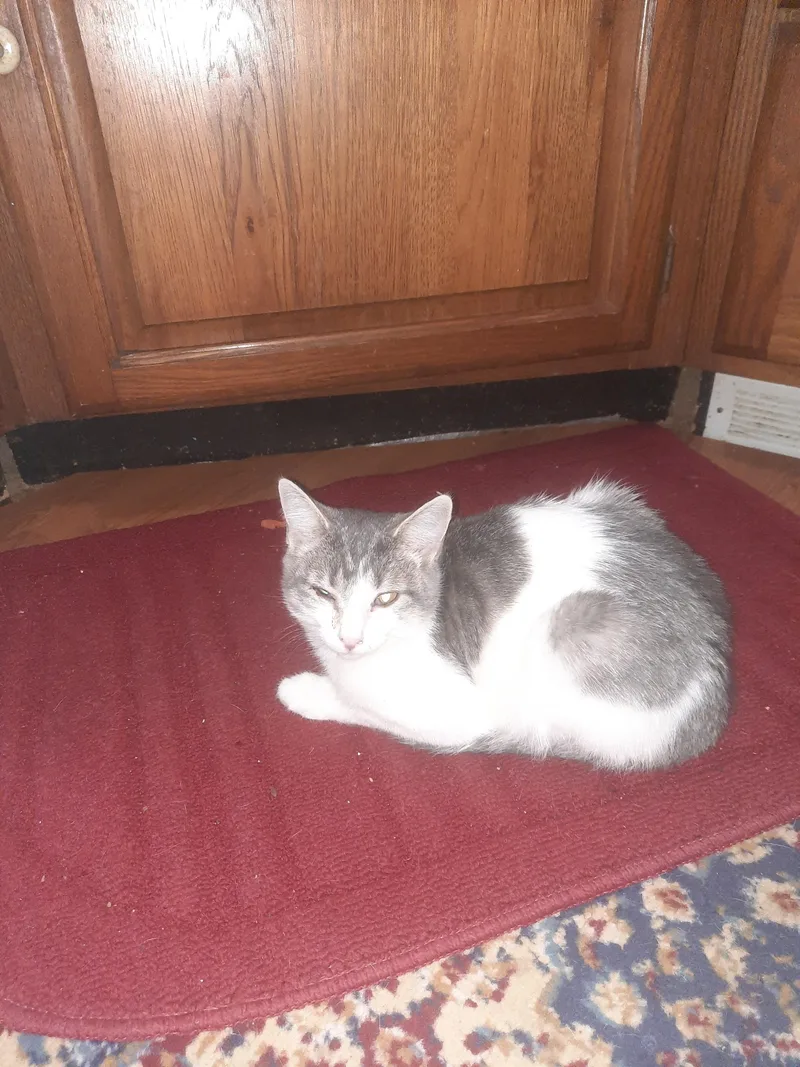 Lakeside Morning thumbnail 6