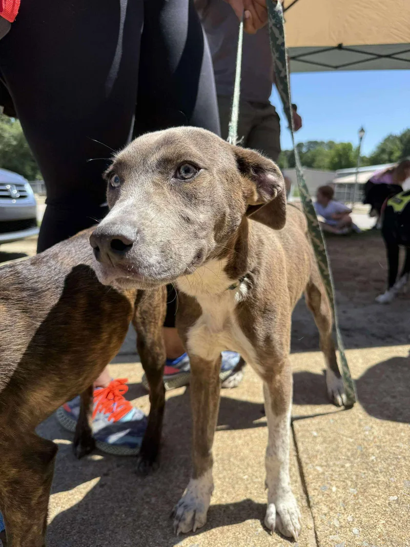 Peter Pan thumbnail 2