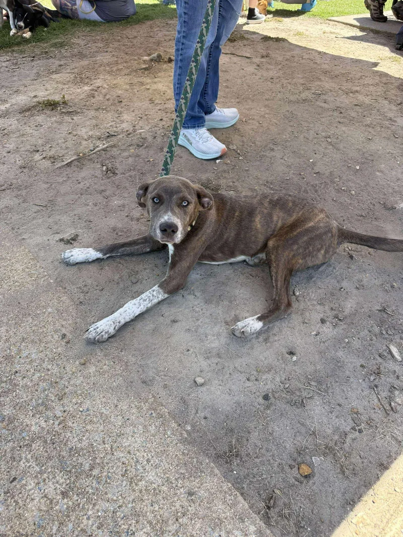 Peter Pan thumbnail 3